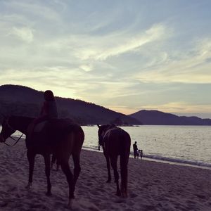 Horses on landscape against sky