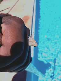 Close-up of human hand by swimming pool