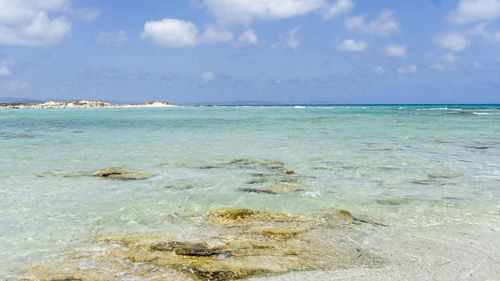 Footpath to a fantastic beach on the island of formentera, balearic islands, spain. 