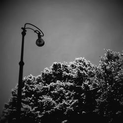 Low angle view of street light against sky