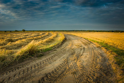 Scenic view of agricultural field against sky