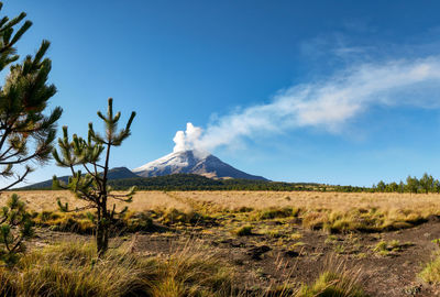 Scenic view of landscape against sky