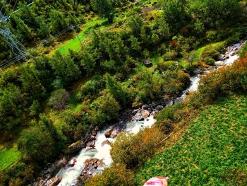 High angle view of stream amidst trees in forest