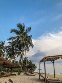 Palm trees on beach against sky