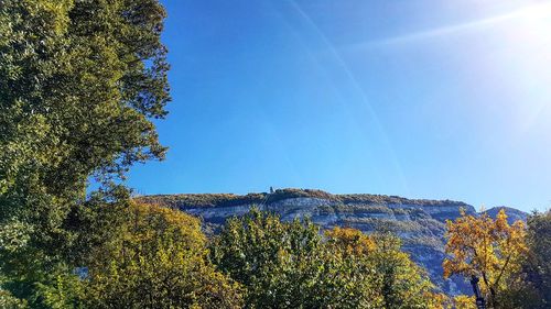 Low angle view of trees against clear blue sky