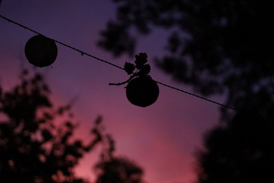 Low angle view of street light against sky