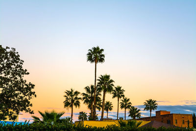 Silhouette palm trees against sky during sunset