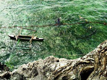 High angle view of river amidst trees