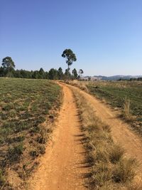 Dirt road amidst field against clear sky