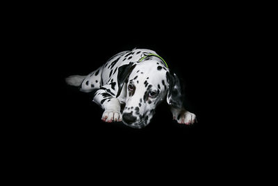 View of black background over black background