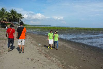 Rear view of men working at beach against sky