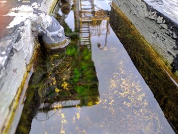 High angle view of trees by lake