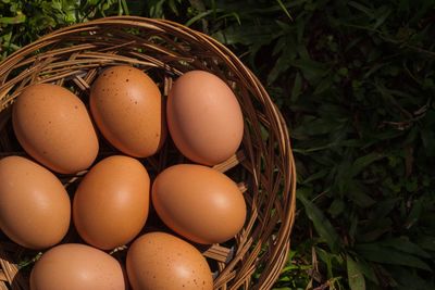 High angle view of eggs in basket