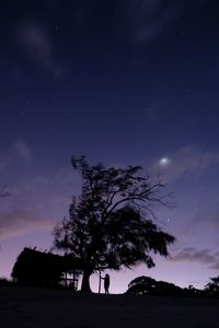 Silhouette person standing by tree against sky at night