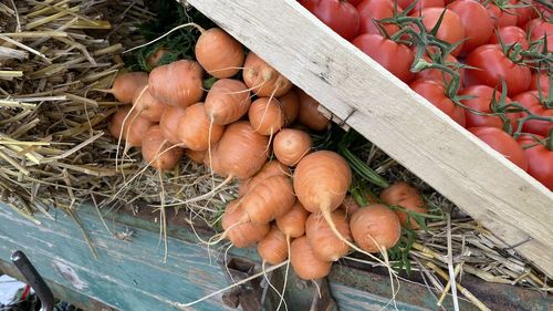 High angle view of pumpkins in market