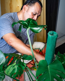 A matured asian man with the houseplant leaves, taking care of plant monstera.