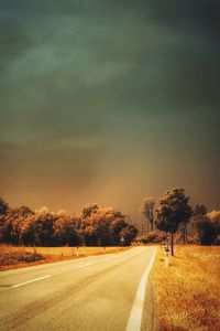 Empty road along trees