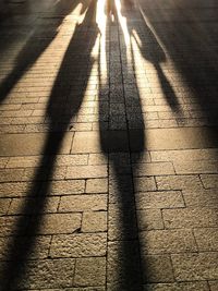 Shadow of people on footpath