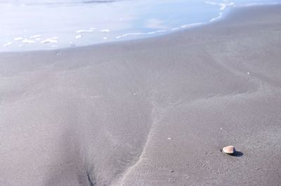 High angle view of beach