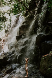 Scenic view of waterfall in forest