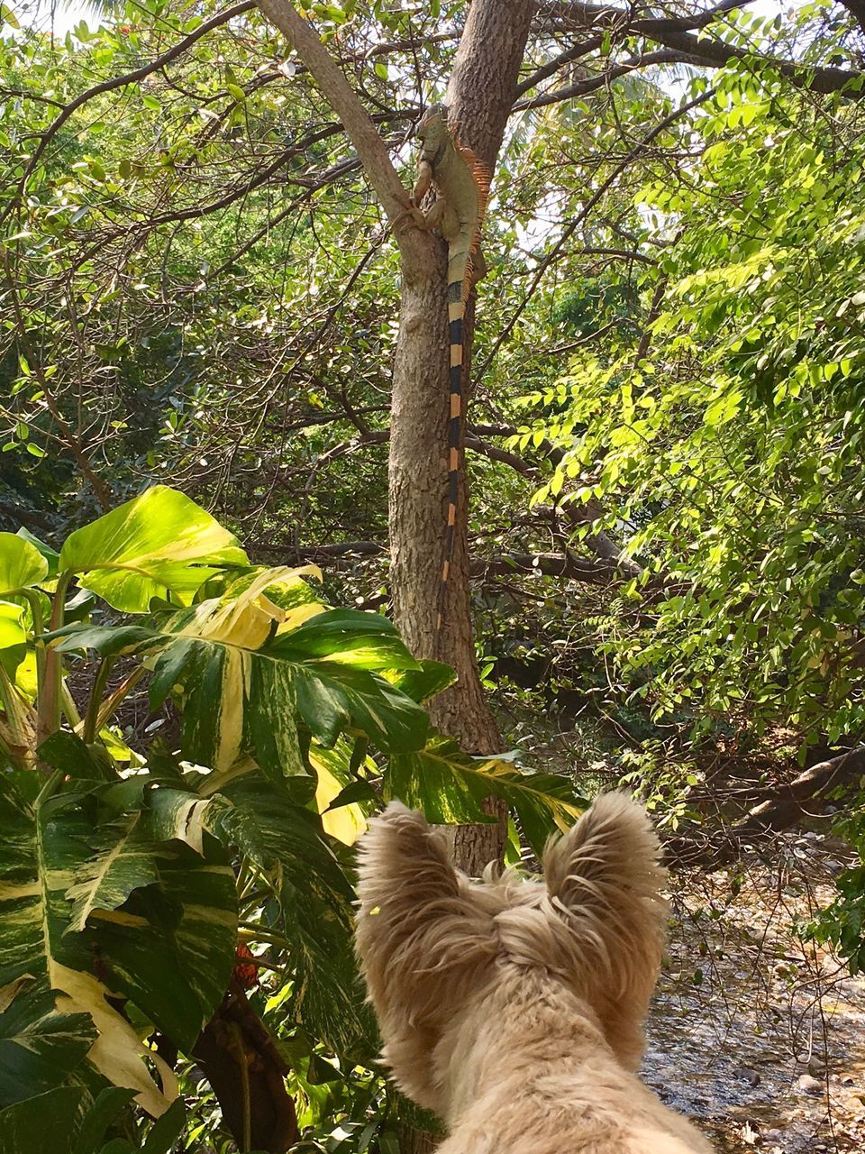 CLOSE-UP OF HAND ON TREE BRANCH