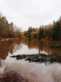 Reflection of trees in lake against sky
