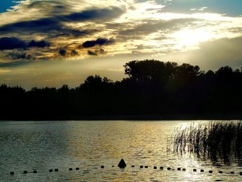 Silhouette swan on lake against sky during sunset