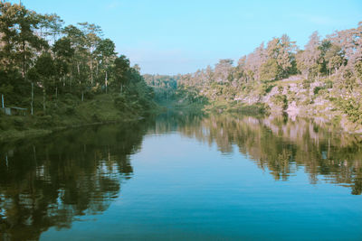 Scenic view of lake in forest against sky