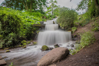 Scenic view of waterfall in forest