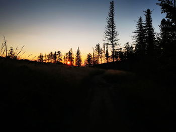 Scenic view of silhouette trees against sky at sunset