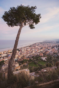 Panoramic view of the city of grottammare and san benedetto del tronto at sunset