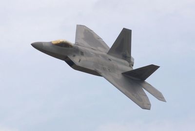 Low angle view of tree against sky