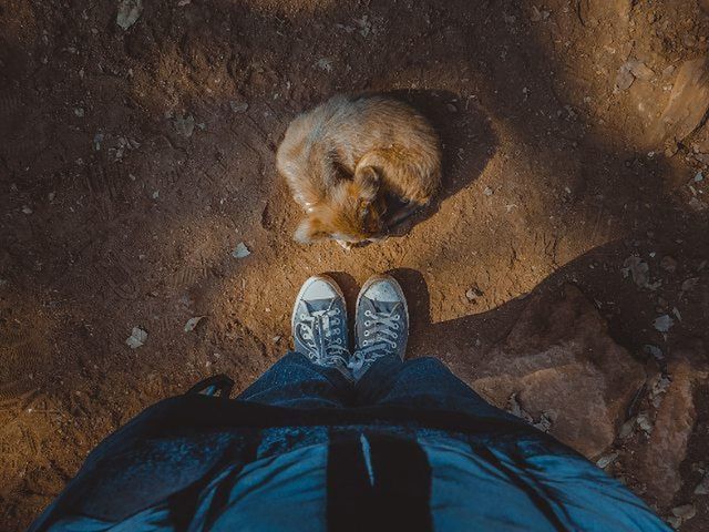 low section, shoe, person, personal perspective, standing, high angle view, human foot, footwear, lifestyles, jeans, men, relaxation, outdoors, unrecognizable person, leisure activity, directly above, day