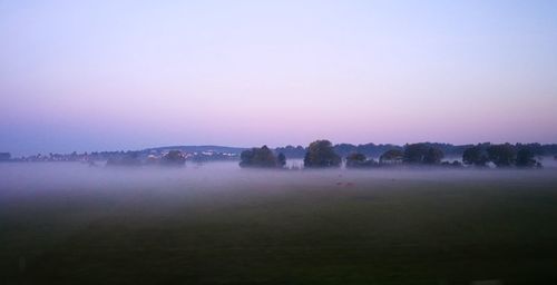 Trees on field against sky during sunset