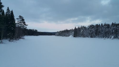 Trees on snow covered landscape against sky