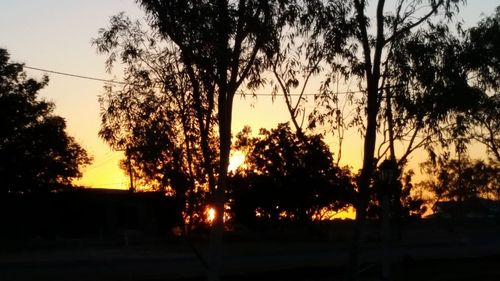 Silhouette trees against sky during sunset