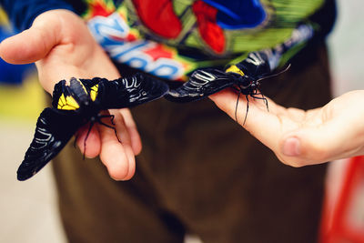 Close-up of woman holding hands