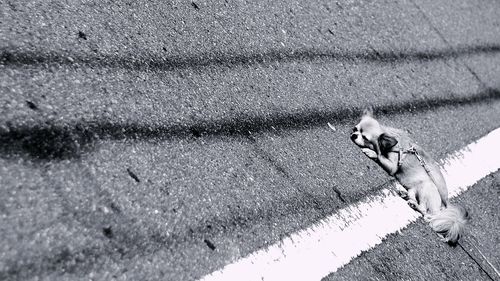 Woman on road