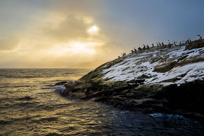 Scenic view of sea against sky during sunset