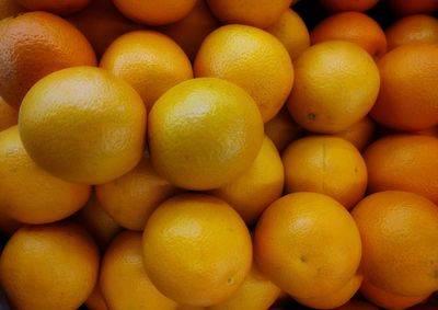 Large group of orange fruit.