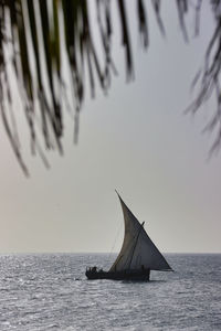 Sailboat sailing on sea against sky