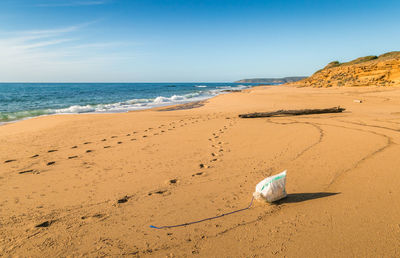 Scenic view of sea shore against sky