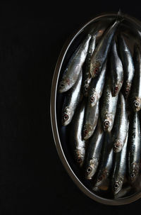 seafood
