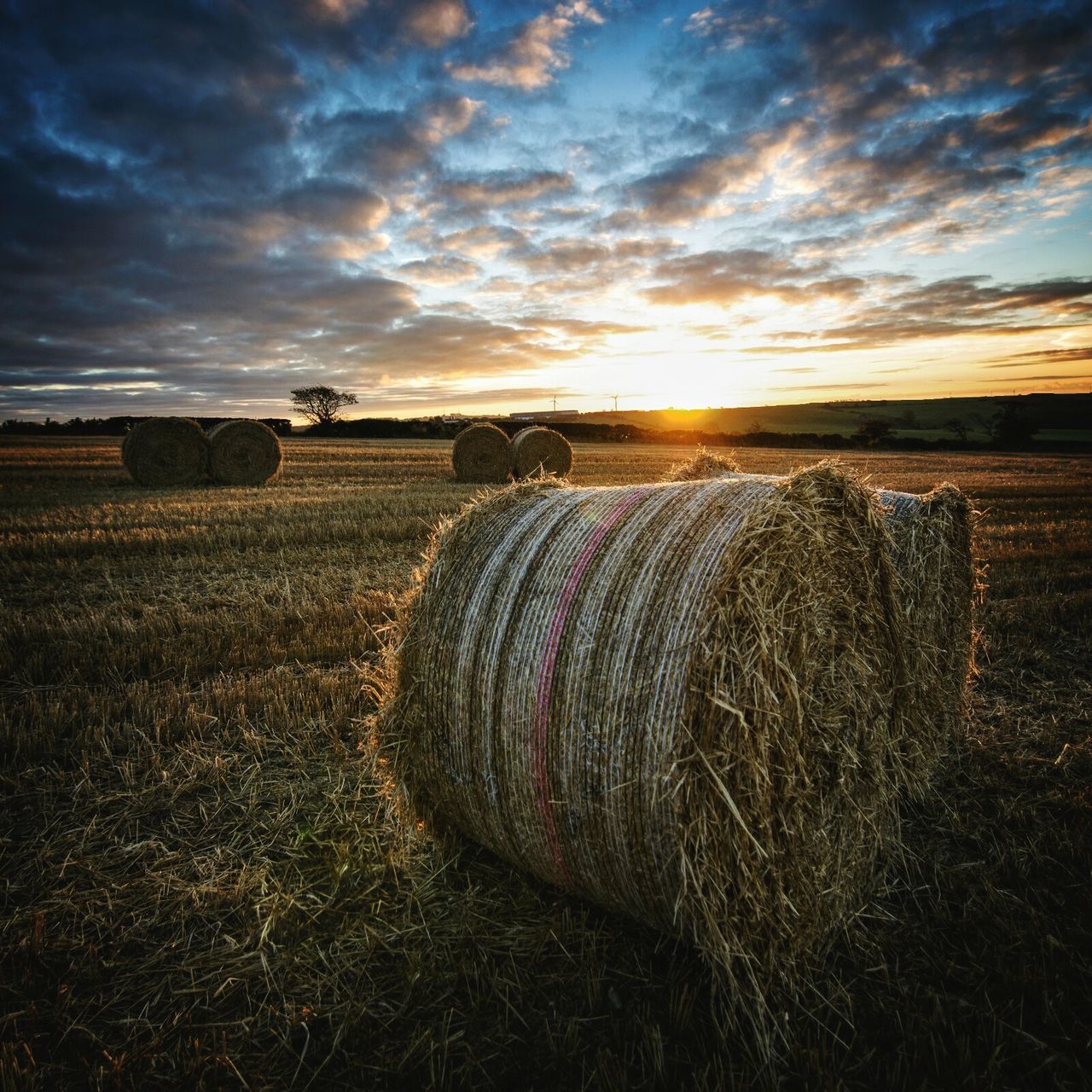 sky, landscape, field, agriculture, cloud - sky, tranquil scene, rural scene, tranquility, scenics, sunset, farm, beauty in nature, nature, horizon over land, cloudy, cloud, crop, grass, idyllic, bale