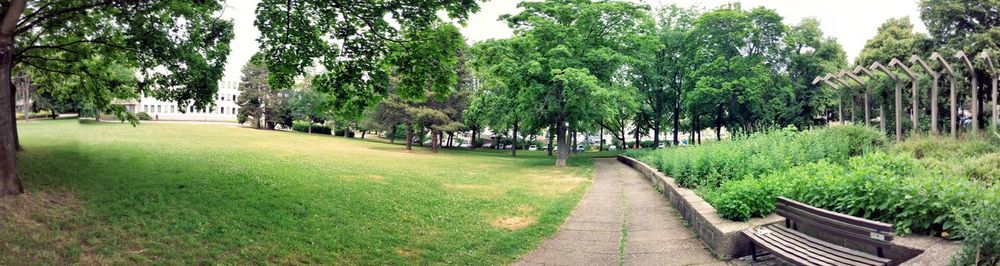 Footpath amidst trees in park