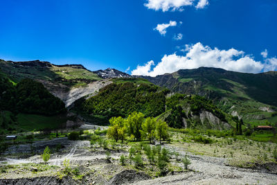 Georgian caucasus mountain landscape in the beginning of summer