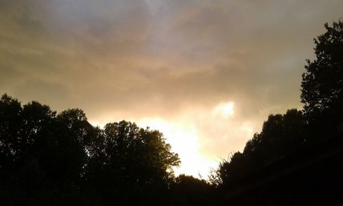 Low angle view of silhouette trees against sky during sunset