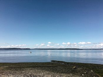 Scenic view of river against clear blue sky on sunny day