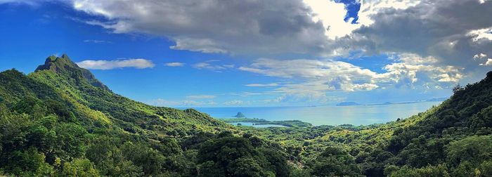 Panoramic view of trees and mountains against sky