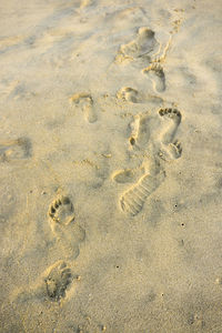 High angle view of footprints on sand at beach